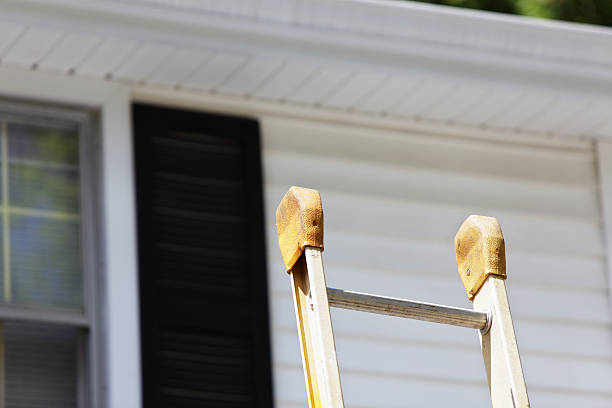 Best Construction Debris Removal  in Lahaina, HI
